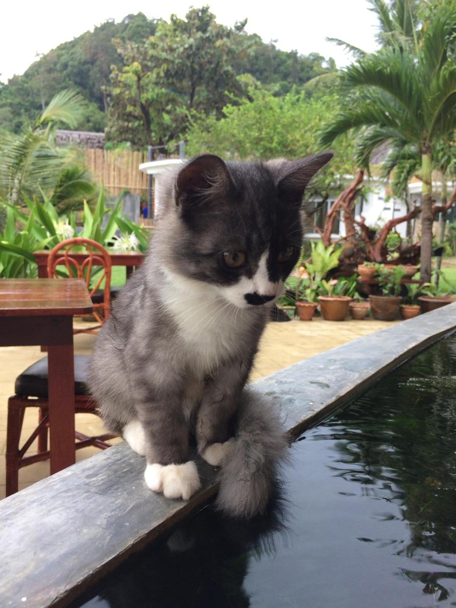 Yao Yai Beach Resort Ko Yao Yai Luaran gambar